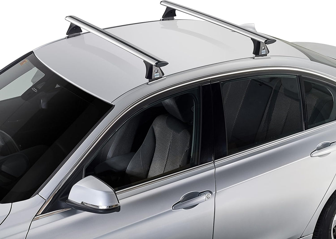 Cruz 924–783 Bars Airo – X118 Weihnachtskarte, Set von 2