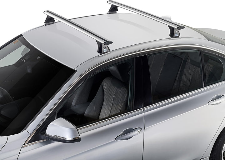 Cruz 924–783 Bars Airo – X118 Weihnachtskarte, Set von 2