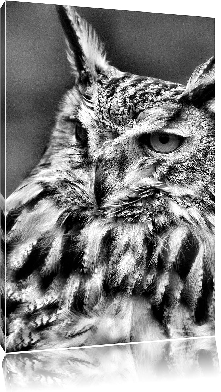 Monocrome, Eule auf Ast, Format: 100x70 auf Leinwand, XXL riesige Bilder fertig gerahmt mit Keilrahm