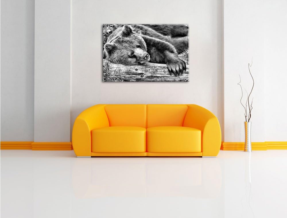 Pixxprint Bär schläft auf Baumstamm / 100x70cm Leinwandbild bespannt auf Holzrahmen/Wandbild Kunstdr