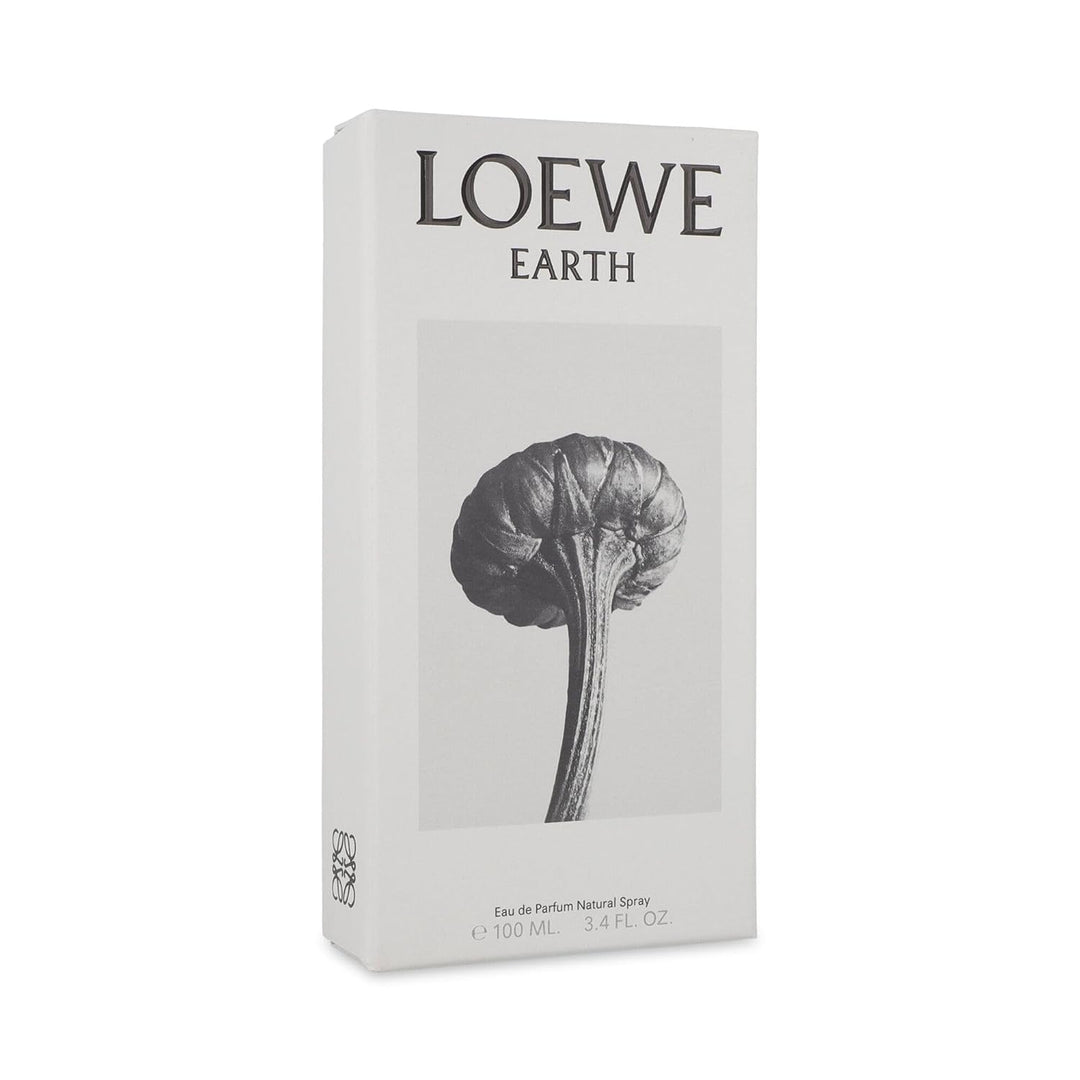Earth Edp Vapo 100 ml