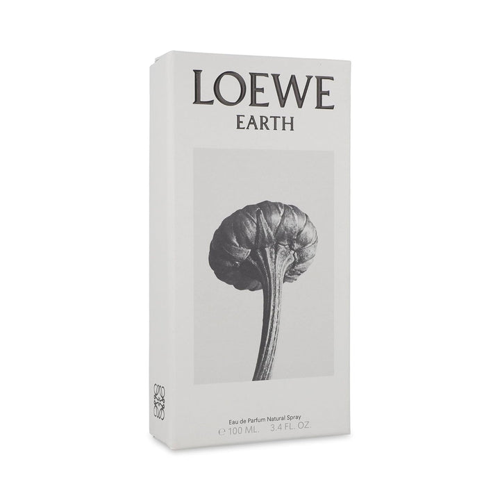 Earth Edp Vapo 100 ml