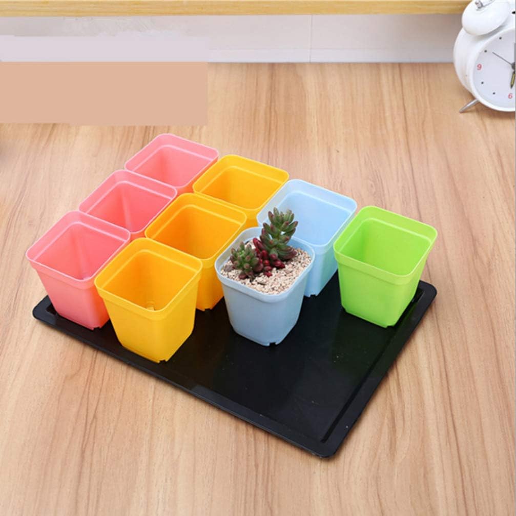 HEMOTON Anzuchtkasten Zimmergewächshaus 20pcs Kleine Anzuchttöpfe mit Deckel Pflanzen Anzucht Topfpl