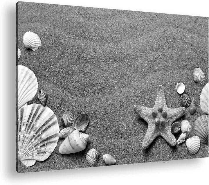 deyoli Gestrandete Muscheln zwischen feinem Sandstrand Format: 120x80 als Leinwand, Effekt: Schwarz&