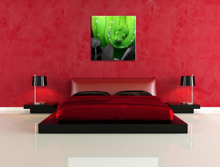 Pixxprint Giftige Grüne Schlange schwarz/weiss, Format: 70x70 auf Leinwand, 70x70