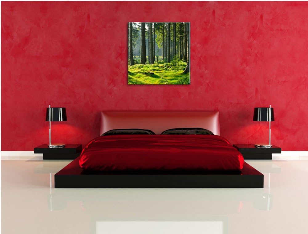 sonniger Tag im Wald, Format: 70x70 auf Leinwand, XXL riesige Bilder fertig gerahmt mit Keilrahmen,