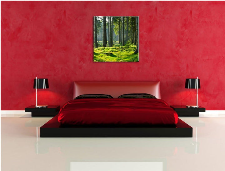 sonniger Tag im Wald, Format: 70x70 auf Leinwand, XXL riesige Bilder fertig gerahmt mit Keilrahmen,