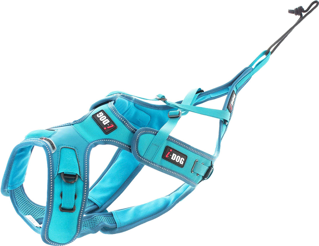 I-dog Verstellbares Geschirr Canicross X-Back Phoenix ALM, Blau (L), L