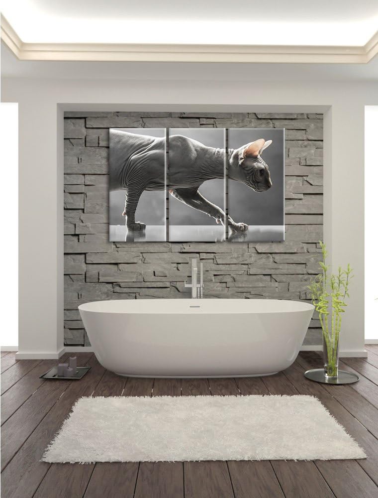 Pixxprint Einzigartige Sphynx Katze 3-Teiler Leinwandbild 120x80 Bild auf Leinwand