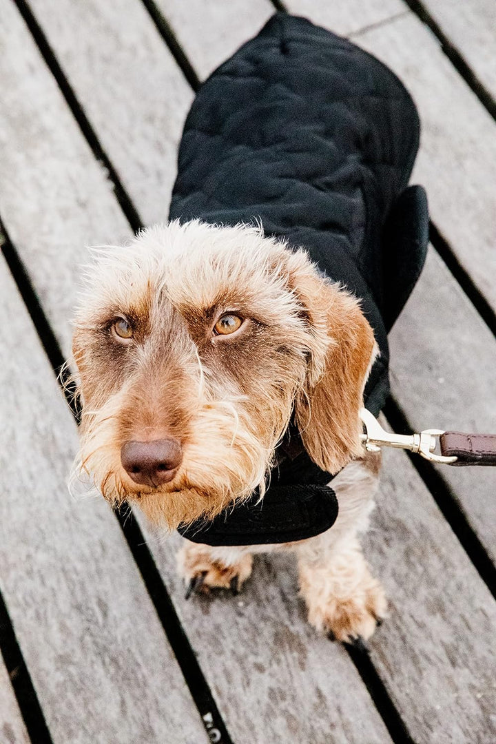Kentucky Dogwear Hundemantel 160g, Grösse:S/M, Farbe:schwarz schwarz S/M, schwarz S/M