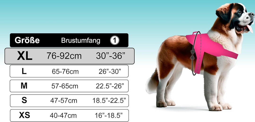 Hundegeschirr mit 3 Metallösen zur Befestigung Ihrer Brust oder Ihres Brustgurts, um Ihren Hals Nich