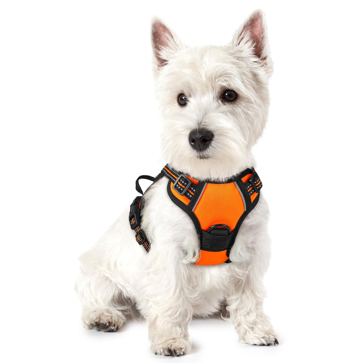 rabbitgoo Hundegeschirr Kleine Hunde, Anti Zug Geschirr mit Kontrolle, No Pull Verstellbar Hundegesc