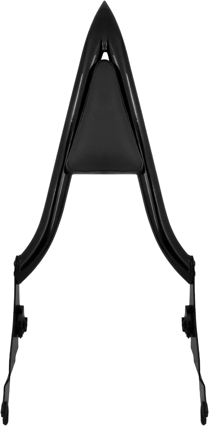 HDBUBALUS Abnehmbare hintere Sissy Bar Rückenlehne für Harley Touring Road King Road Glide Street Gl