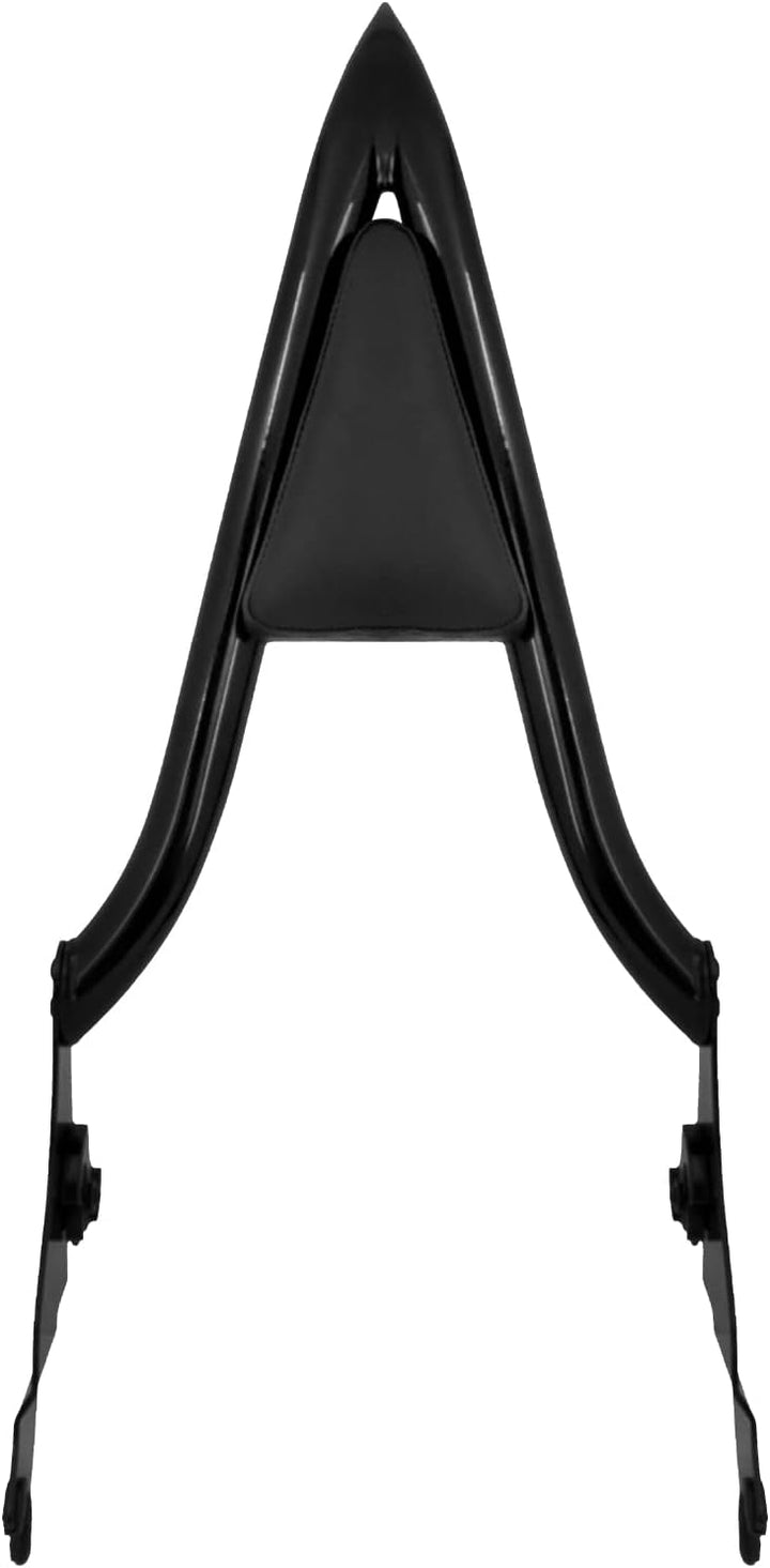 HDBUBALUS Abnehmbare hintere Sissy Bar Rückenlehne für Harley Touring Road King Road Glide Street Gl