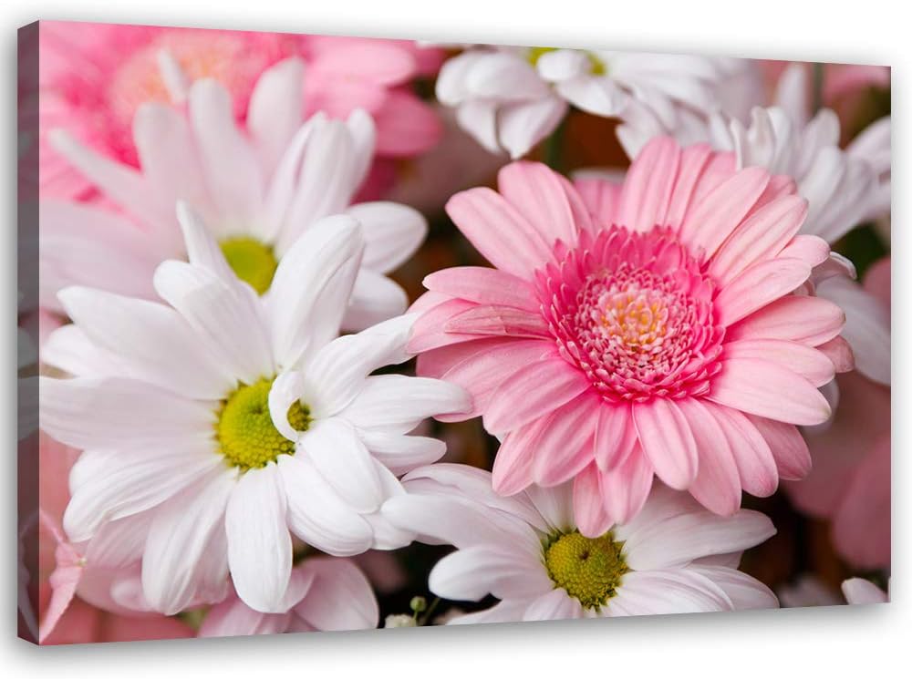 Feeby Bild auf Leinwand Blumen Kunstdruck modern Garten Rosa 80x60 cm Leinwandbild 80x60 cm Rosa_D,