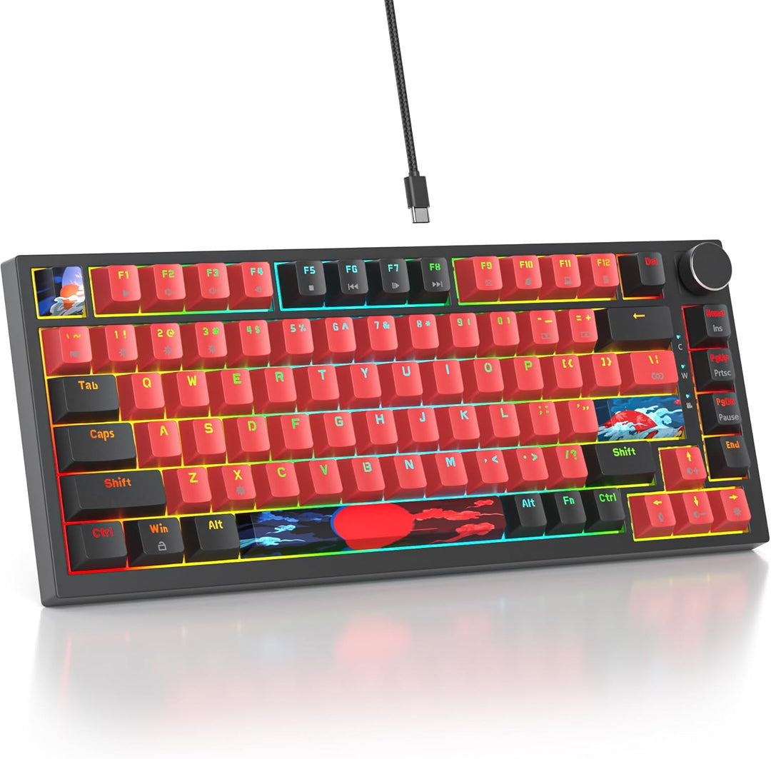 SOLIDEE Verkabelte 75% Mechanische Gaming-Tastatur,hot-swap-fähige Mechanische Tastatur mit Gasket S