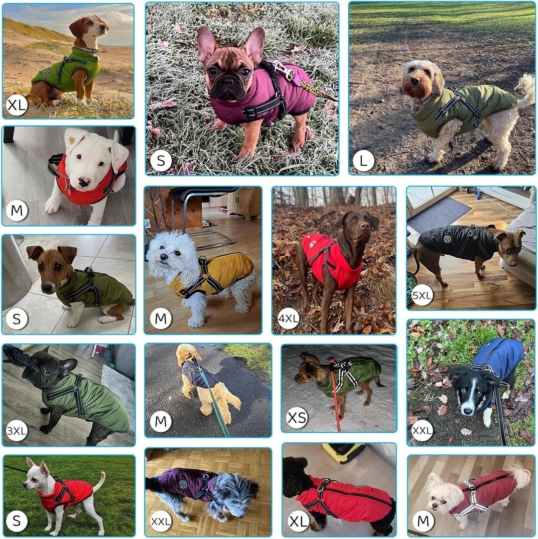 Hundejacke Winterweste Jacken Hundemantel Hundepullover Haustier Skifahren Kostüm Ärmellose Baumwoll