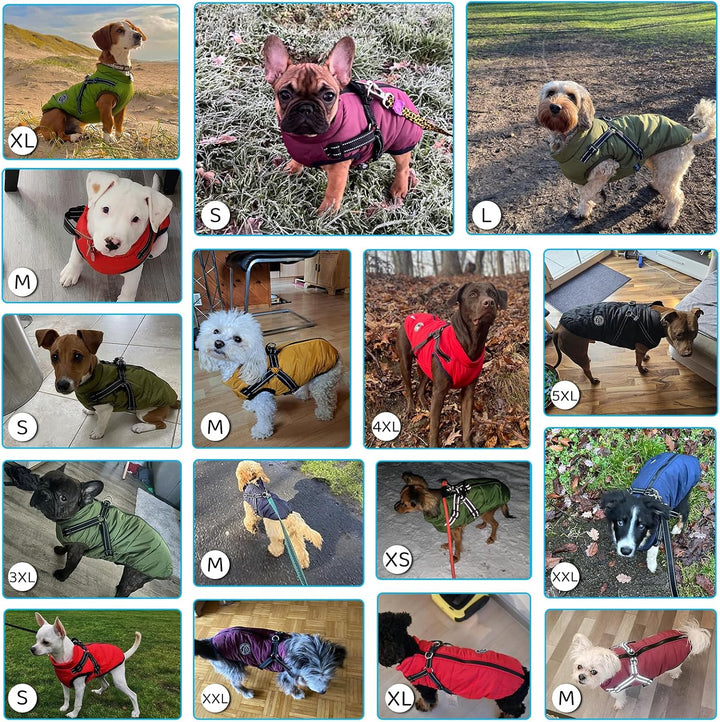 Hundejacke Winterweste Jacken Hundemantel Hundepullover Haustier Skifahren Kostüm Ärmellose Baumwoll