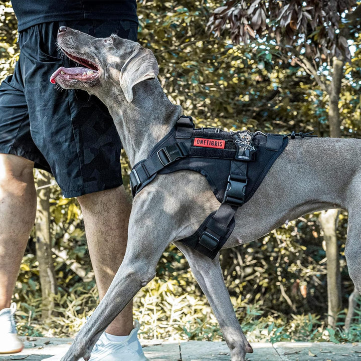 OneTigris Upgraded Fire Watcher 2.0 mit Strapazierfähiger Metallschnalle, Taktische Hundegeschirr mi