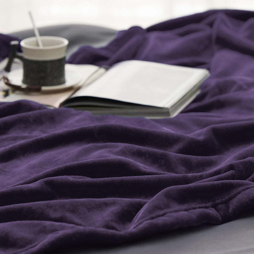 BEDSURE Kuscheldecke Flauschig Decke Fleecedecke - Wohndecke Warm Winter Weich, Sofadecke XXL, Decke