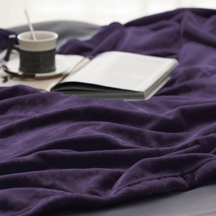 BEDSURE Kuscheldecke Flauschig Decke Fleecedecke - Wohndecke Warm Winter Weich, Sofadecke XXL, Decke