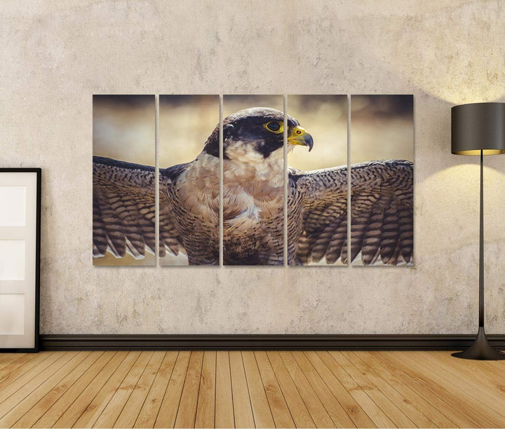 islandburner Bild auf Leinwand Wanderfalke Offene Flügel Vogel Gefieder Bilder Wandbilder Poster Lei