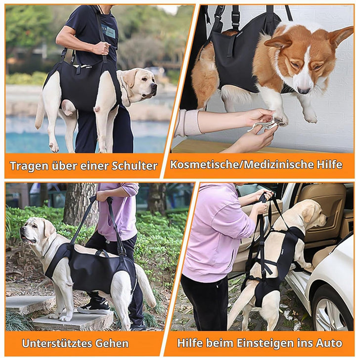 YOUNGSAY Tragehilfe Hund, Verstellbare Tragegurt Hund, Gross Hunde Tragehilfe für Behinderte, Blindh