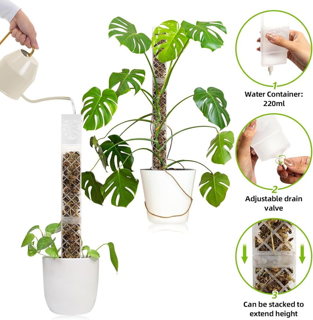 Moosstab für Monstera Rankhilfe Zimmerpflanzen Zubehör Set, 4 Stück 35cm (Moosstab + Bodeneinführung