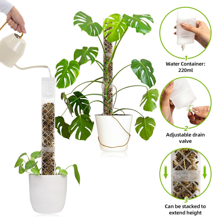 Moosstab für Monstera Rankhilfe Zimmerpflanzen Zubehör Set, 4 Stück 35cm (Moosstab + Bodeneinführung