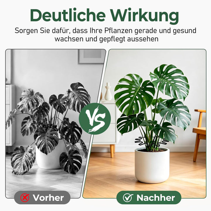WUQNGI Pflanzenstütze, 10 Stück Staudenhalter Rund, Einstellbare Hortensien Stütze Ø 21,5 cm, Robust