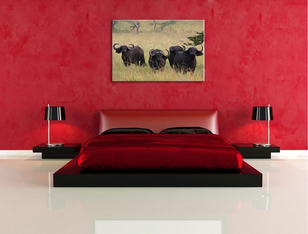 wachsame Kaffernbüffelherde Leinwand, XXL riesige Bilder fertig gerahmt mit Keilrahmen, Kunstdruck a