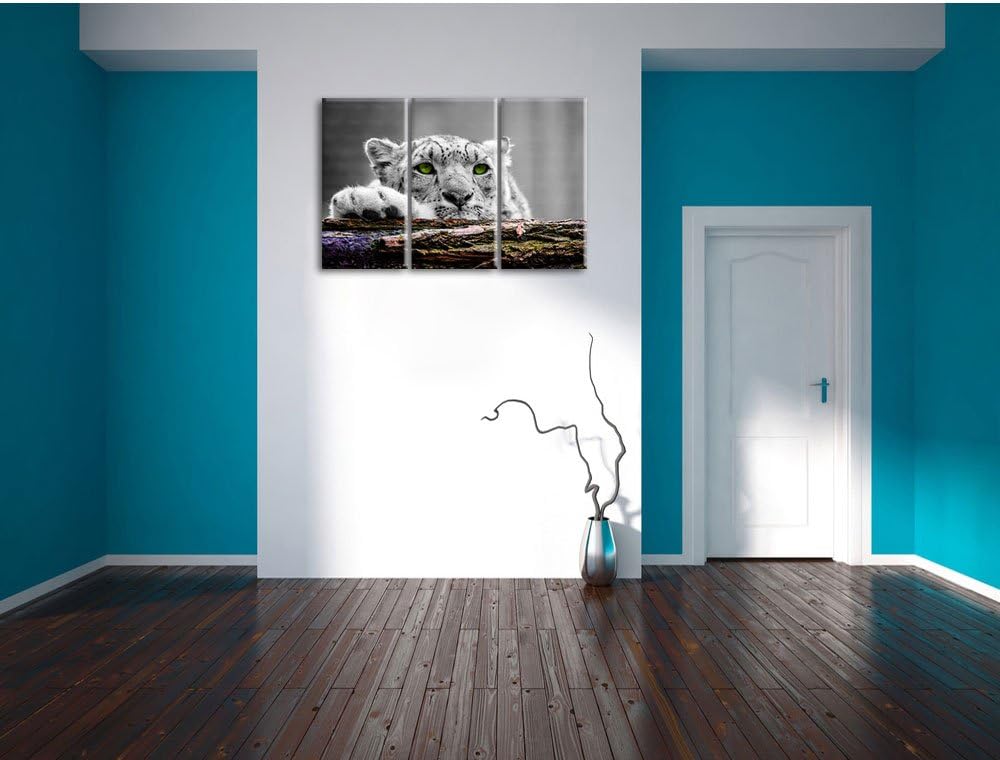 Pixxprint Schöner Gepard mit grünen Augen / 3-Teilig/Gesamtmass 120cm Leinwandbild bespannt auf Holz