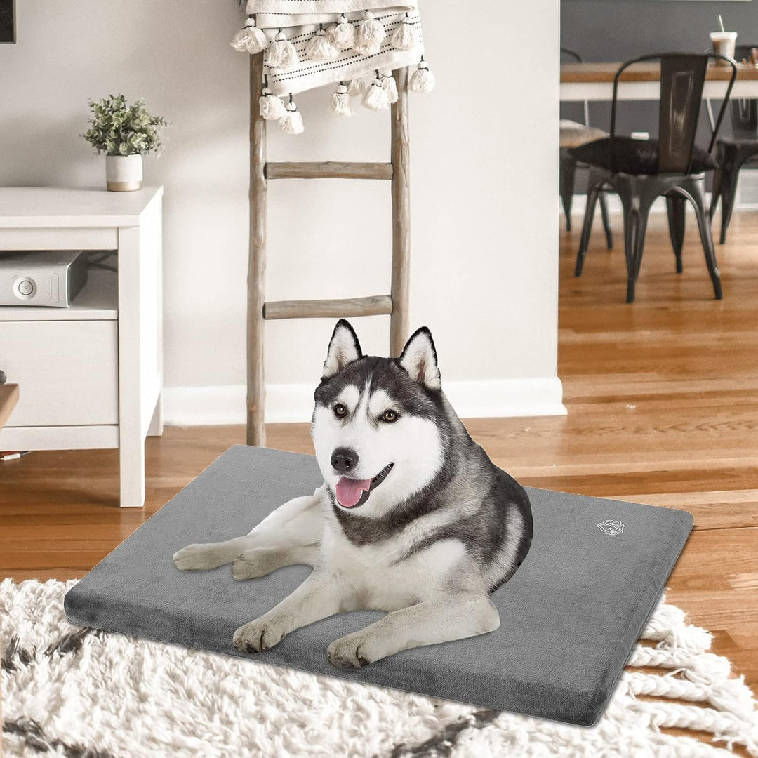 EMPSIGN Hundebett Grosse Hunde Hundekissen waschbar, Hundebett Wasserdicht L 89x56cmx7.6cm, Hundekis