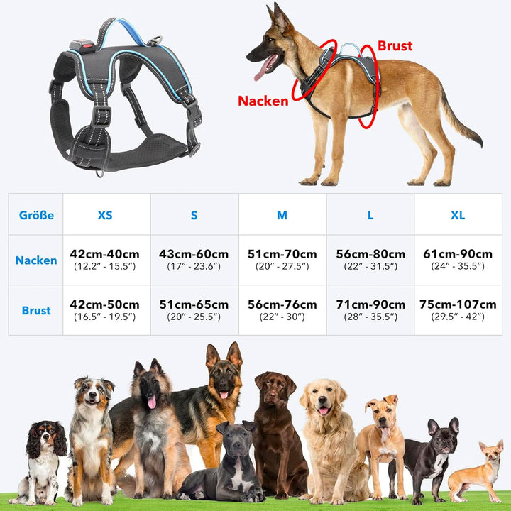 Hundegeschirr Leuchtend Wiederaufladbares Leuchtgeschirr für Hunde Led Beleuchtetes Hundegeschirr fü