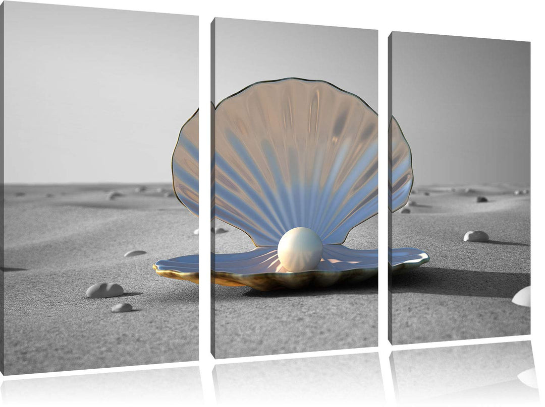 Perlenmuschel am Strand schwarz/weiss 3-Teiler Leinwandbild 120x80 Bild auf Leinwand, XXL riesige Bi