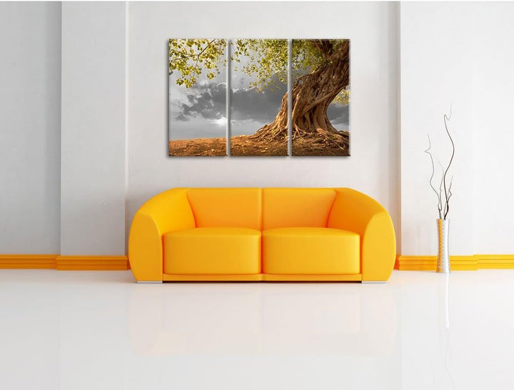 Pixxprint Baum als Leinwandbild/Grösse: 3 Teilig (120x80 cm) cm/Wandbild/Kunstdruck/fertig bespannt