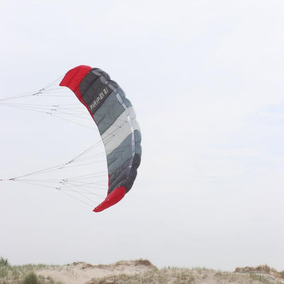 Wolkenstürmer® Paraflex Basic 2-Leiner Lenkmatte 2.1 SE grau - Kite Drachen mit Flugschlaufen – Zwei
