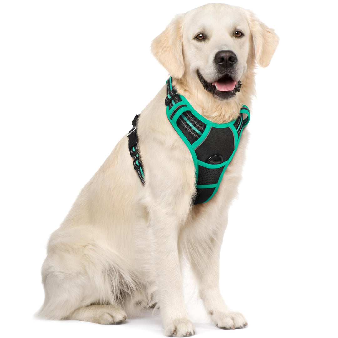 rabbitgoo Hundegeschirr Mittelgrosse Hunde, Anti Zug Geschirr mit Kontrolle, No Pull Verstellbar Hun
