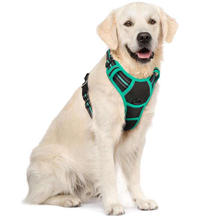 rabbitgoo Hundegeschirr Mittelgrosse Hunde, Anti Zug Geschirr mit Kontrolle, No Pull Verstellbar Hun