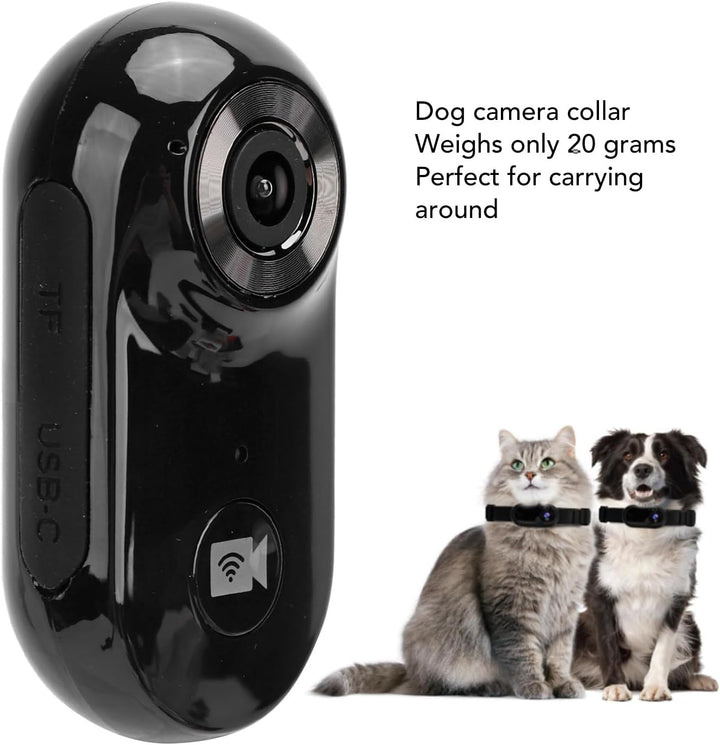 Zerodis Haustierhalsband-Kamera, Mini-Körperkamera mit 8G-Speicherkarte, HD 1080P, Mini-Katze, Hund,