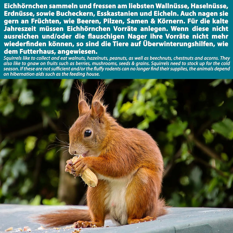 valuents Eichhörnchen Futterhaus mit Klappe – Futterstation – wetterfest aus Kiefernholz mit Zinkdac