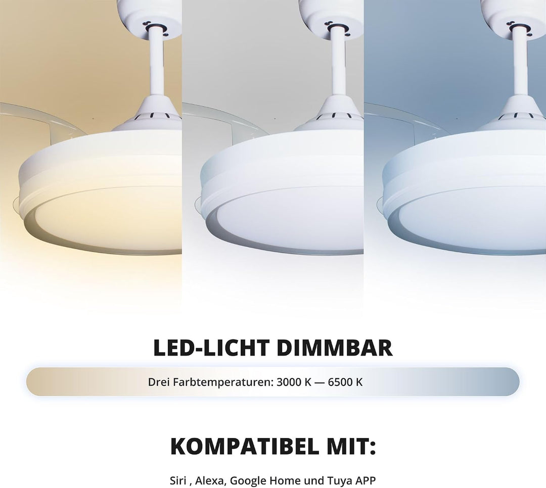 Eclipse Deckenventilator mit Beleuchtung, Leise mit 6 Windstufen, App | Fernbedienung, Sommer und Wi