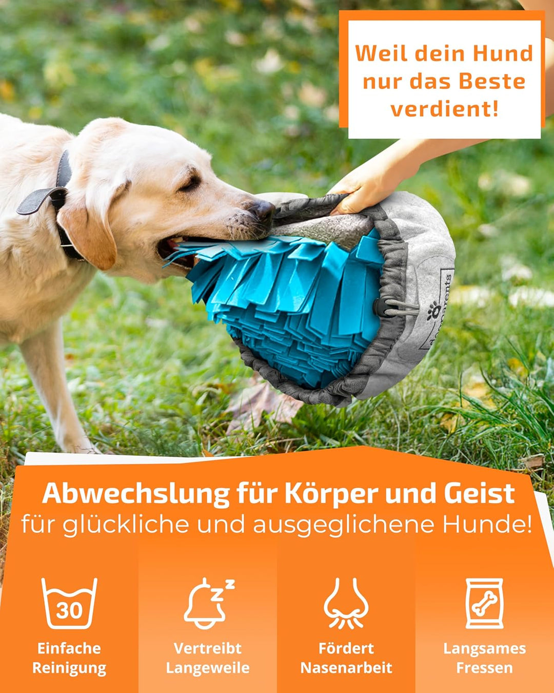 DOGPARENTS® Schnüffelteppich Hund klein & gross – Schnüffelmatte ROBUSTER Schnüffelteppich für Hunde
