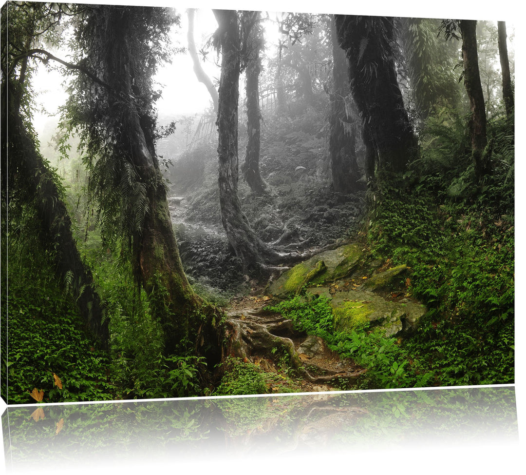Pixxprint Tropischer La Selva Dschungel als Leinwandbild/Grösse: 100x70 / Wandbild/Kunstdruck/fertig