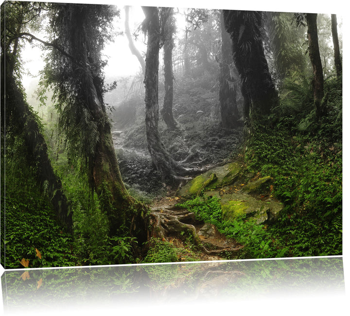 Pixxprint Tropischer La Selva Dschungel als Leinwandbild/Grösse: 100x70 / Wandbild/Kunstdruck/fertig