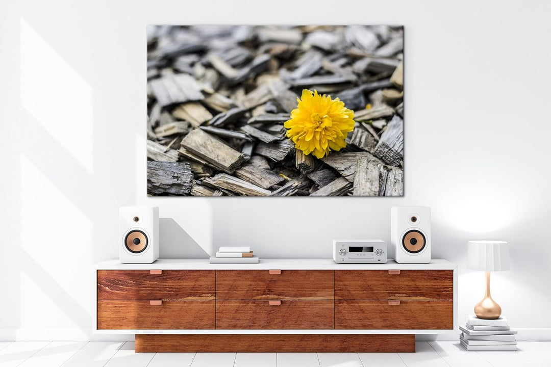 deyoli gelbe Blume auf Holz im Format: 80x60 als Leinwandbild, Motiv fertig gerahmt auf Echtholzrahm