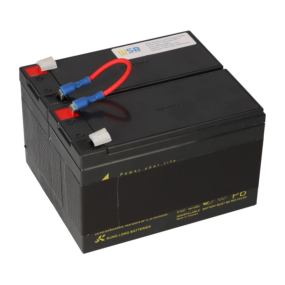 Akku kompatibel APC Back UPS RS 1200 1500 ersetzt RBC109