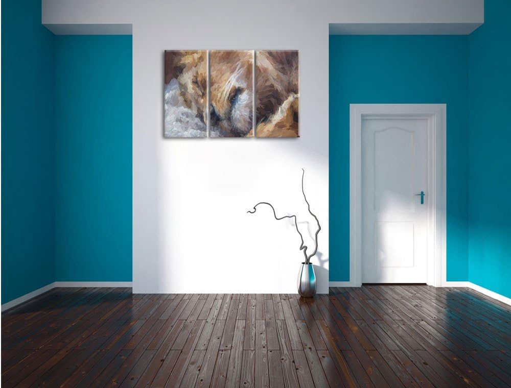 Pixxprint schlafender Löwe Kunst als Leinwandbild/Grösse: 3 Teilig (120x80) / Wandbild/Kunstdruck/fe