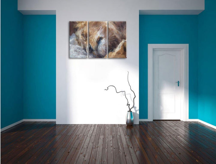 Pixxprint schlafender Löwe Kunst als Leinwandbild/Grösse: 3 Teilig (120x80) / Wandbild/Kunstdruck/fe