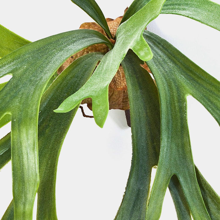 artplants.de Künstlicher Geweihfarn George, 8 Blätter, grün, Ø 50cm, 40cm - Kunst Farn - Kunstpflanz